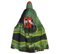 QAZWZML Mantello con cappuccio stampato coccinella Cosplay - Papillon senza cerniera oversize con cappuccio mantello in maschera
