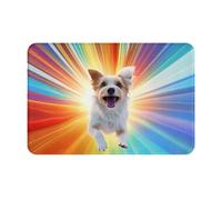 QAZWZML Zerbini colorati con motivo cane chiaro, tappetini di benvenuto, adatti per porte d'ingresso, cortili, cucine o bagni.