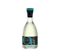 QB QUANTO BASTA PINOT GRIGIO DOC FERMO ANFORINE CL.25 CARTONE X 24 BOTTIGLIE