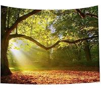 QBGJDOGE Arazzo Verde Foresta nebbiosa Appeso a Parete Natura Paesaggio arazzo Sole Attraverso L'Albero arazzi for Camera da Letto Soggiorno dormitorio Arredamento
