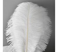 QBilooty 10 Pezzi Piume di Struzzo Decorative, per Abiti, la Decorazione della Casa e del Matrimonio, Vasi DIY, Lunghe (Bianco)