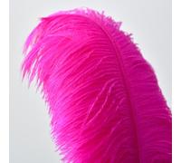 QBilooty 10 Pezzi Piume di Struzzo Decorative, per Abiti, la Decorazione della Casa e del Matrimonio, Vasi DIY, Lunghe (Fucsia)