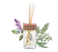 QC Terme ARIA PRÉ-SAINT-DIDIER, Profumatore per ambiente in vetro a bastoncini 250 ml, Fragranza aromatica a base di legno di cedro, Made in Italy