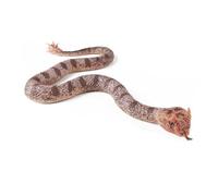 Qcbuegof Figura di serpente in gomma massiccia, giocattolo realistico per alleviare lo stress e la decorazione del giardino