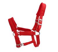 Qcwwy Cavezza per Cavallo Regolabile, Morbida Imbottitura in Pile di Agnello, Resistente Cinghia da 25 Mm per di Piccole e Medie Dimensioni, Ideale per l'equitazione e la Gestione della stalla.