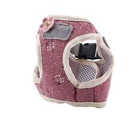 Qcwwy Pettorina e Guinzaglio per Gatti a Prova di Fuga, Gilet in Cotone Traspirante per Camminare Senza Tirare, vestibilità Regolabile per Gatti e Cani di Piccola Taglia (M)