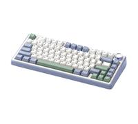 QdLmvpSDo Tastiera meccanica da gioco cablata wireless 2.4G RGB Personalizzata 75% Layout Struttura guarnizione profilo OEM compatibile con F75(3mode Cedar Green)