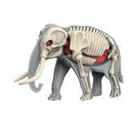 Qectial Modellino del Corpo Animale, Puzzle degli Organi per Bambini, Kit Interattivo per La Scheletro Rimovibile, Gioco Educativo per Lo Studio De, 3109