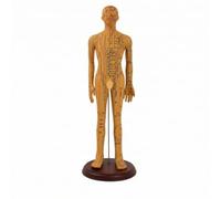 Qectial Modello di Agopressione a Corpo Intero Uomo Manichino Didattico Modello Meridiani Punti Struttura in Pvc con Base Rotabile Adatto a Insegnamento, 52 Cm, style to 3