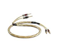 QED Golden Anniversary XT - Cavo per altoparlanti pre-termine, 2 x 3 m