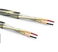 Qed Golden Anniversary XT cavo per diffusori DI ALTA QUALITA' prezzo al metro