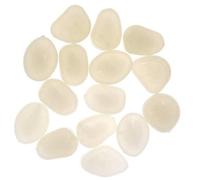 Qeesio 100 pz pietre luminose che si illuminano al buio pietre decorative per passerella da giardino fattoria pesce, bianco