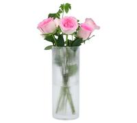 QEEYON Vasi in Vetro per Fiori 30 cm, ⌀ 12 cm - Cilindro Vaso di Fiori Trasparente Vetro Moderno da Interno, per Tulipani, Orchidee, Rose per La Casa, l'ufficio, il Matrimonio