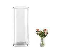 QEEYON Vaso Cilindrico in Vetro, Alto 25cm Vaso Vetro Trasparente Vaso per Fiori in Cristallo Ispessito per Composizioni Floreali per Soggiorno, Cucina, Ufficio, Matrimoni (25 x 10 cm)