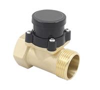 QEFHSVVZE Interruttore sensore di Flusso d'Acqua Interruttore Magnetico Interruttore di Flusso d'Acqua da 1 Pollice a 1 Pollice AC220V Interruttore sensore Interruttore di Flusso Pompa Booster