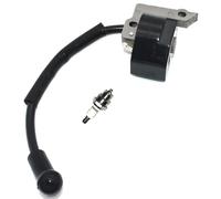 QEOQWQB Modulo Bobina di accensione for D//o//l//m//a//r LT-30 MS-30 MS-31 M//a//k//i//t//a DST300 DBC300 Decespugliatore Trimmer 369143010