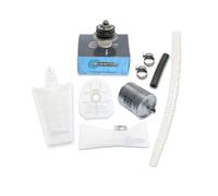Qfs Carburante Pompa Kit Riparazione+Regolatore+Originale Mahle Filtro +