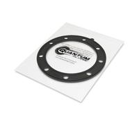 Qfs Efi Carburante Pompa +Regolatore+Serbatoio Sigillare+Colino 270600056