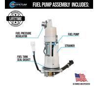 Qfs Ricambio OEM Interna Efi Carburante Pompa Modulo Montaggio per
