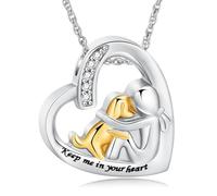 QGJNSGC Collana a forma di cuore in acciaio inossidabile per ceneri di cani e gatti, ciondolo commemorazione cremazione urna per ceneri di animali domestici e umane, 1, Acciaio inossidabile, Non