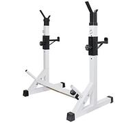 QHLMLL Panca con manubri per Sit-up, Palestra, Panca con Pesi, Squat Rack, Funzione Panca con Pesi, Commerciale, Intelligente, Panca telescopica, Squat Rack, bilanciere, Panca con manubri