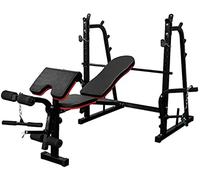 QHLMLL Sedia Fitness Multifunzionale, Panca con manubri, Supporto per bilanciere Multifunzione, Supporto per Flessioni Fitness, Supporto per Sollevamento Pesi, Supporto per Squat Fitness per famigl