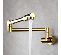 QHLMLL Taps for Kitchen Pot Filler Wall Mounted, 360 Swivel Universal Cold Water Tap Single Handle Multi-Function, Kitchen Faucet Kitchen Sinks Tap-Golden