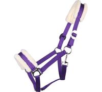 QHP Cavezza Cali, Passion Flower - Cob