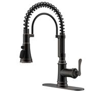 QHQQXN Rubinetto da Cucina con spruzzatore a Discesa, Bronzo lucidato a Olio, Rubinetto per lavello da Cucina Antico con Maniglia Singola a Molla in Acciaio Inossidabile con Piastra di Copertura,