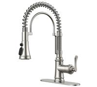 QHQQXN Rubinetto da Cucina con spruzzatore a Discesa, Rubinetto per lavello da Cucina Antico a Molla Singola in Acciaio Inossidabile con Piastra di Copertura, Adatto per Fattoria, Camper, Camper,