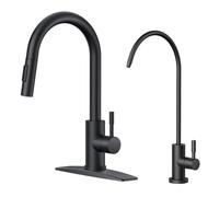 QHQQXN Rubinetto della Cucina e Rubinetto con Filtro dell'Acqua combinati, Rubinetto per lavello Tradizionale in Acciaio Inossidabile con Rubinetto dell'Acqua Potabile Adatto ad osmosi