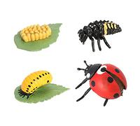 Qianly 4 Pezzi Ciclo della Vita Set Modelli Animali Plastica Dettagli Realistici Educazione Scoperta Naturale Adatti a Famiglie attività Ludiche Scuola