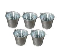 Qianly 5 Secchielli Metallici per Decorazioni Artigianali, Contenitori per Piante E Dolci, Argento