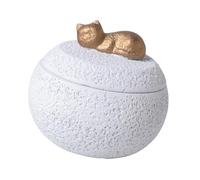 Qianly Barattolo Commemorativo per Le Ceneri con Coperchio 350 Ml, Bianco