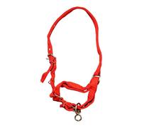 Qianly Cavezza per Cavalli da Equitazione in Corda Museruola Robusta per Bestiame Regolabile E Facile da Usare Attrezzatura Indispensabile per Bambini E, L