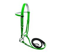 Qianly Cavezza per Cavalli Testiera Redini E Lunghina Regolabile Materiale PVC Resistente con Imbottitura Confortevole E Anello Antiscivolo per U, 125 Mm