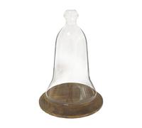 Qianly Copertura per Display Conservata a Cupola in Vetro Trasparente per Decorazioni per Piccole Piante con Display a Rose