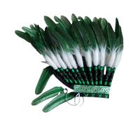 Qianly Copricapo Indiano, Fascia Indiana, Copricapo, Copricapo di Piume Artificiali