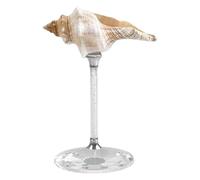 Qianly Da Vino Bicchiere a Conchiglia Coppa per Bevande Stelo Elegante con Design Unico Ispirato Adatto per Celebrazioni Speciali E Cerimonie, Base in Argento Conch