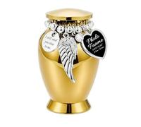 Qianly Piccola Contenitore per Ceneri Commemorativa in Lega di Alluminio Facile da Trasportare Ricordo Commemorativo Robusta per Casa, Oro
