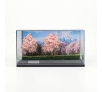 Qianly Trasparente con Base da Collezione Espositore in Acrilico Resistente Ai Graffi Diorama per Modellisti, Esposizione, Paesaggio di Ciliegi in Fiore di Fuji, Edizione Primaverile Limitata