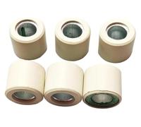 QIAOG Rullo variatore primario 6 pezzi 25x22 mm 16 g compatibile con RV250 CityCom300i Joymax300 GTS300 Kit puleggia scooter Quadlander250 Quadlander300