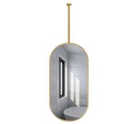 QICBYING Specchio Ovale Sospeso Con Asta, Specchio Da Bagno A Soffitto Girevole A 360°, Grande Specchio Decorativo Sospeso, Per Bagni, Ingressi, Negozi E Hotel(Gold,40x60cm)