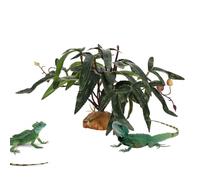 Qidures Piante Finte per Rettili - Vegetazione Finta Realistica - Foglie Finte per Terrario - per Pesci Tartarughe Betta Gechi Camaleonti Rane Anfibi