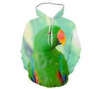 Qienjn Felpe con Cappuccio da Uomo Stampa 3D Collezione di Pappagalli Modello Animale Felpa con Cappuccio Uomo Creativa Unica Streetwear da Uomo Felpe Casual Uomo F-YW20 M