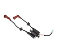 QIHRUIA Accessori per Barche Motore Fuoribordo Marino Accensione in Lega Bobina Assy Stroke Motore per Yamaha 9.9/13.5/15/20/25/40HP 2/4 6F5-85570-10