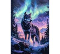 QINRUBB DIY Aurora Borealis Diamond Painting Kits, Full Drill Wolf Diamond Art Painting Kits for Adults Beginners, DIY 5D Painting by Numbers Forest Diamond Art Kits for Home Decor 12x16inch