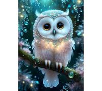 QINRUBB DIY Owl Diamond Painting Kits, Full Drill Owl Diamond Art Painting Kits for Adults Beginners, DIY 5D Dreamland Painting by Numbers Fantasy Diamond Art Kits for Home Decor 30x40cm