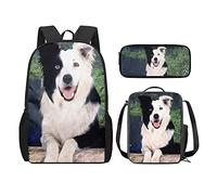QIQISE Zaino per la scuola per ragazze, 3 pezzi, classico, grande, borsa termica per il pranzo per bambini, astuccio piccolo con stampa di leone accogliente, Border Collie., Taglia unica, Zaini