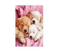 QITJSGD Stampa su tela con cuccioli che dormono su tela, decorazione artistica da parete per soggiorno, camera da letto, 60 x 90 cm